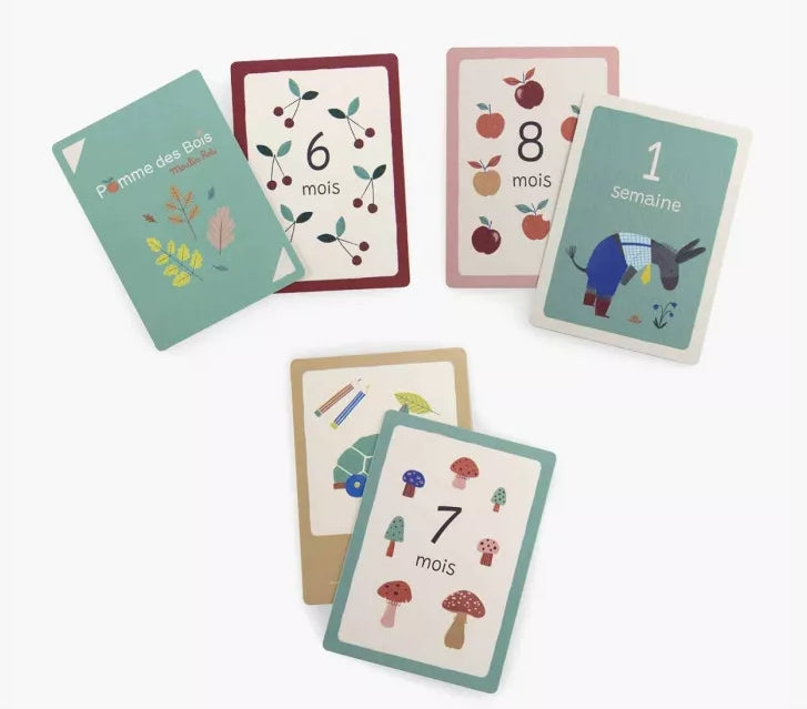 Cartes étapes 1ère année Moulin Roty