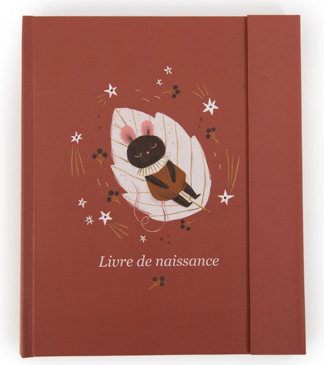 Livre de naissance photo Moulin Roty