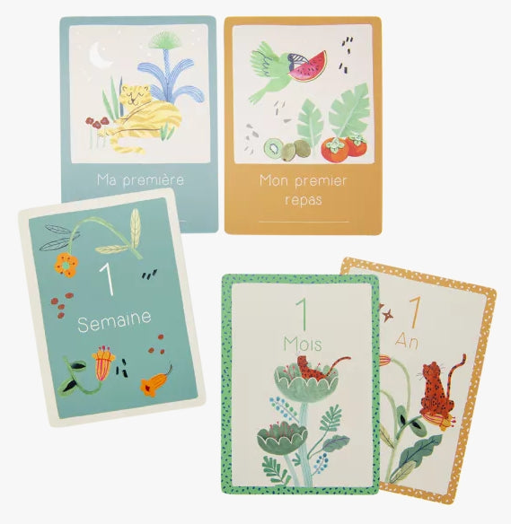 Cartes étapes 1ère année Moulin Roty