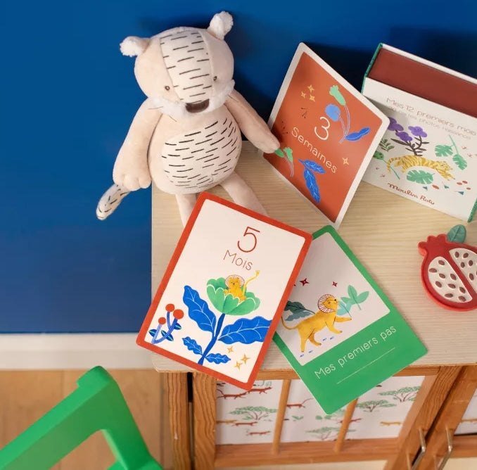 Cartes étapes 1ère année Moulin Roty