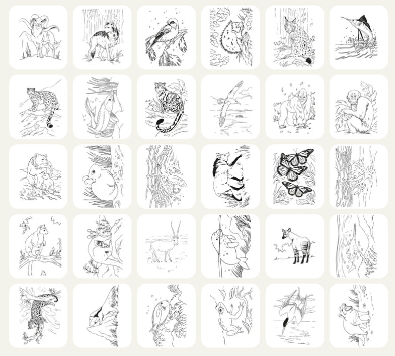 Tablette Kidydraw Pad Kidywolf