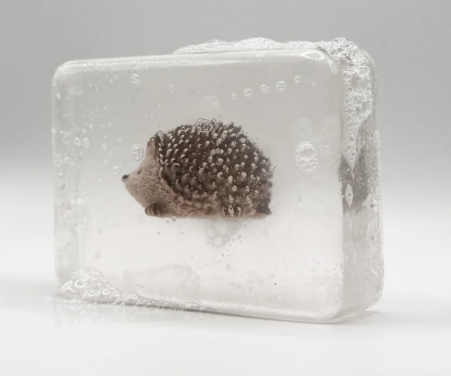 Savon animal de la forêt - Ludisoap
