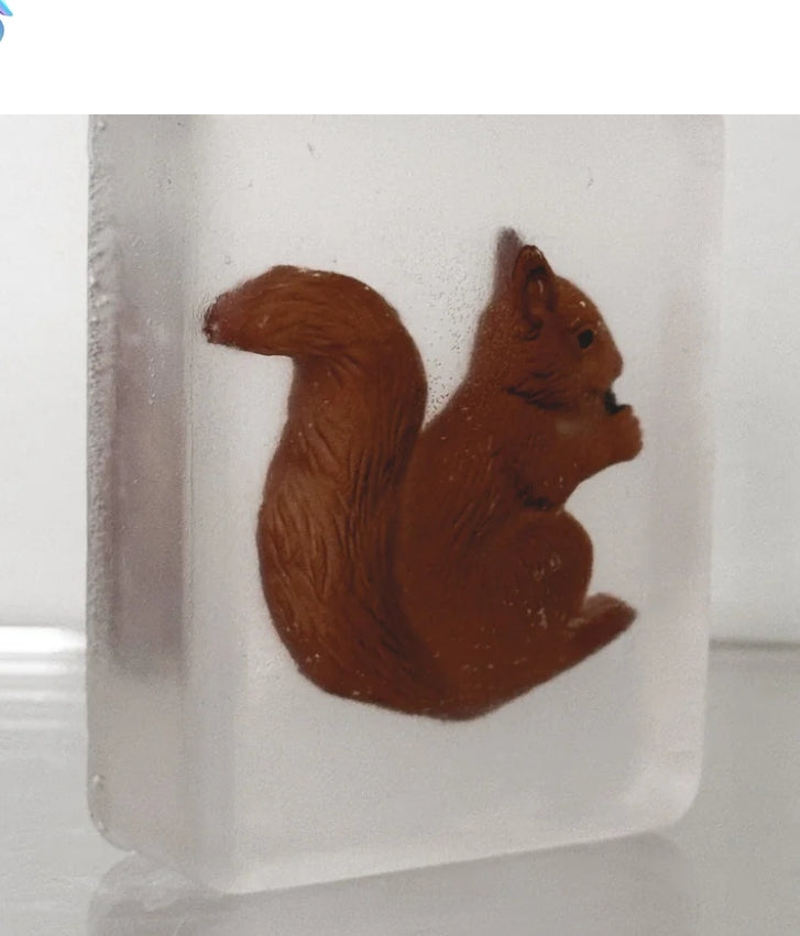 Savon animal de la forêt - Ludisoap